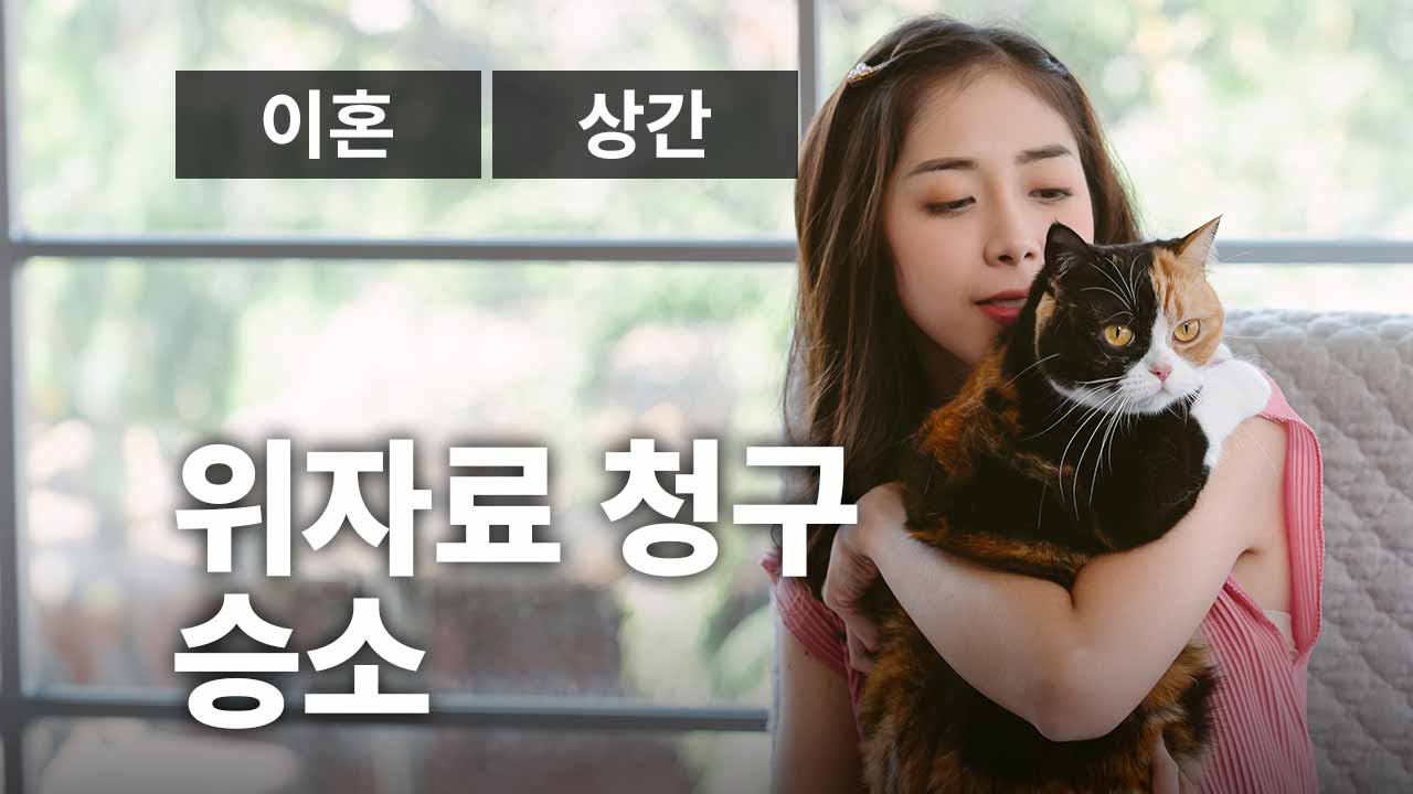 성공사례 이미지